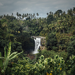 Indonesia travel guide