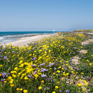 Best time to visit Israel