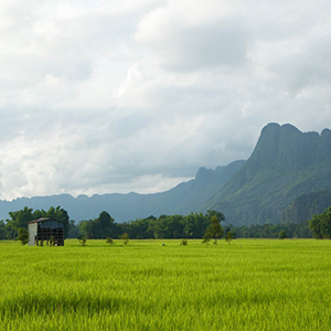 Best time to visit Laos