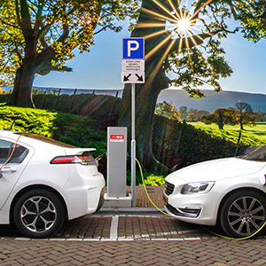 What can you do to reduce your carbon usage?