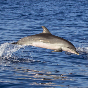Family holidays in Madeira