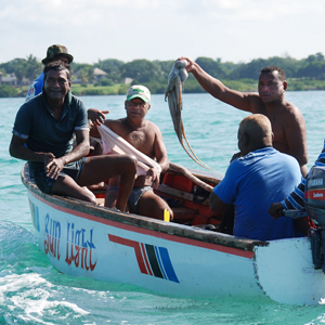 Responsible tourism in Mauritius