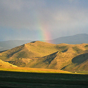 Best time to visit Mongolia