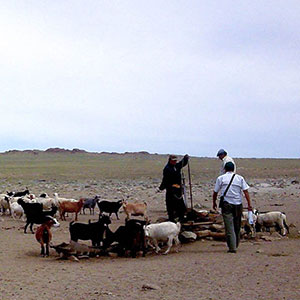 Responsible tourism in Mongolia