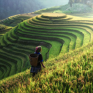 Photography holidays in China