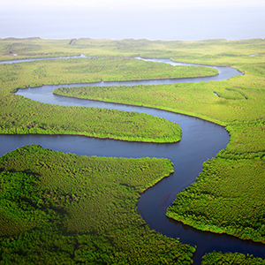 Gambia river cruises