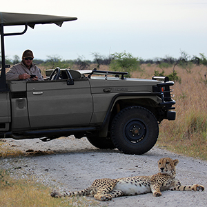 Safari with electric vehicles