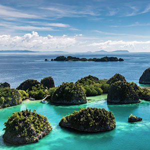 Raja Ampat Snorkel safaris