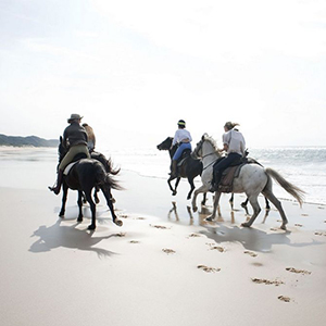 Best time for a family to go to South Africa