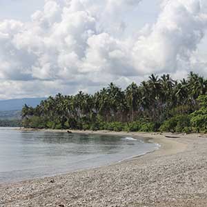 Things to see & do in the Solomon Islands