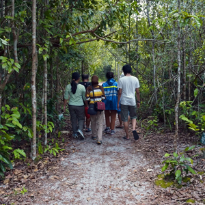 Volunteering in Borneo guide