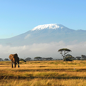 Mount Kilimanjaro, Tanzania