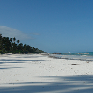 Tanzania safari & beach holidays