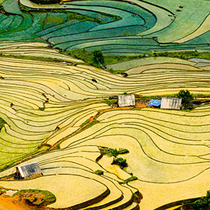Vietnamese Hill Tribes map & highlights