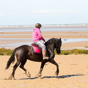 Top 8 holidays in Wales