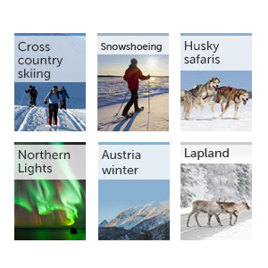 All our winter guides