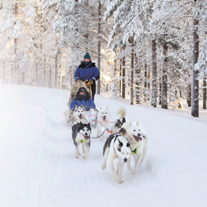 Winter multi activity holidays in Finland