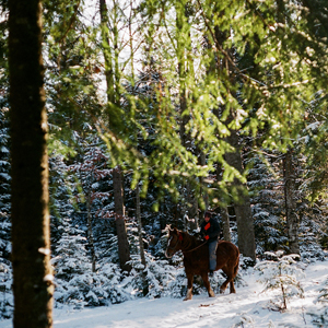 Winter activity holidays travel guide