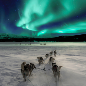 Winter activity holidays