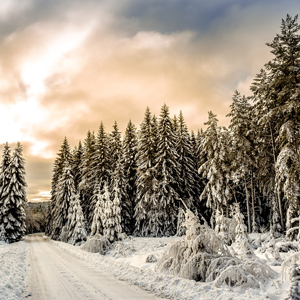 Best time to go on a winter snow holiday
