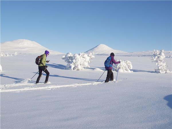 Venabu cross country skiing vacation in Norway