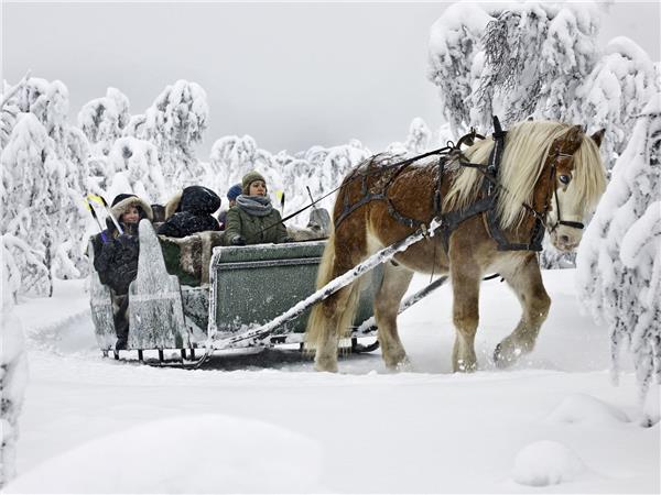 Venabu cross country skiing vacation in Norway