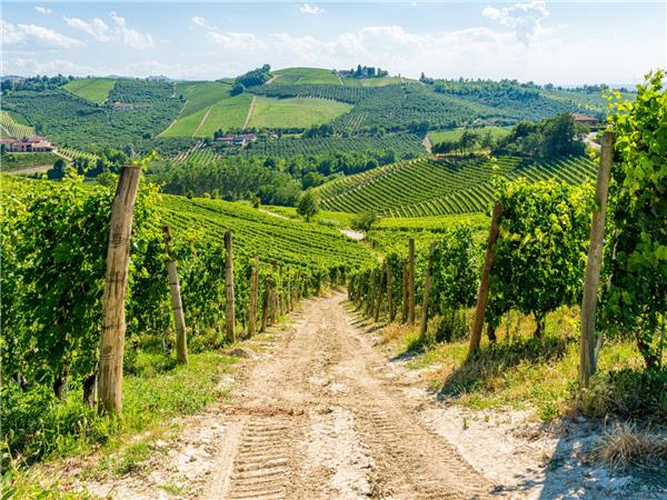 Piedmont cycling vacation, Italy 