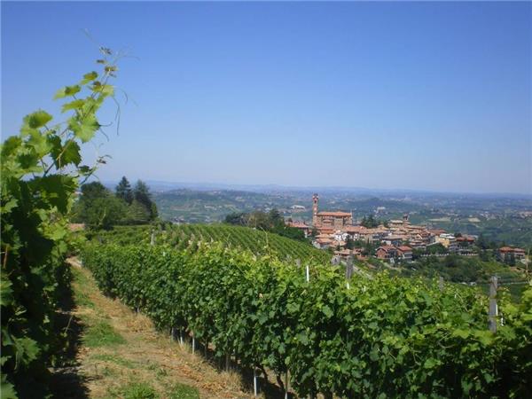 Piedmont cycling vacation, Italy 
