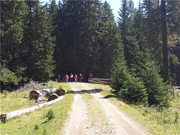 Montenegro hiking vacations