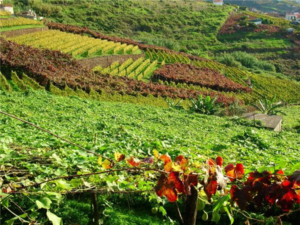 Madeira walking vacation, Portugal