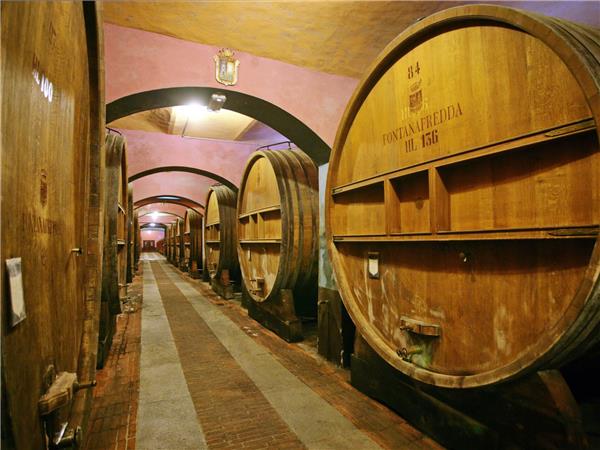 Piedmont walking vacation, Vineyards of Barolo 