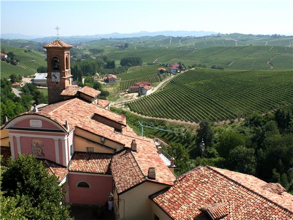 Piedmont walking vacation, Vineyards of Barolo 