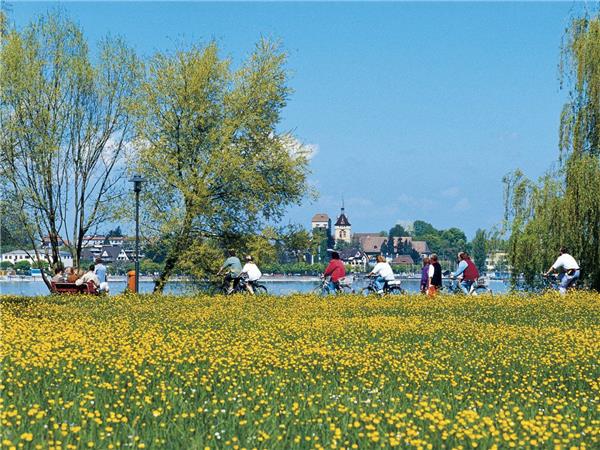 Lake Constance cycling vacation, Austria
