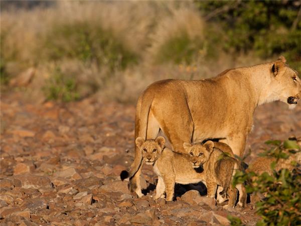 Namibia small group vacation