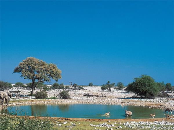 Namibia small group vacation
