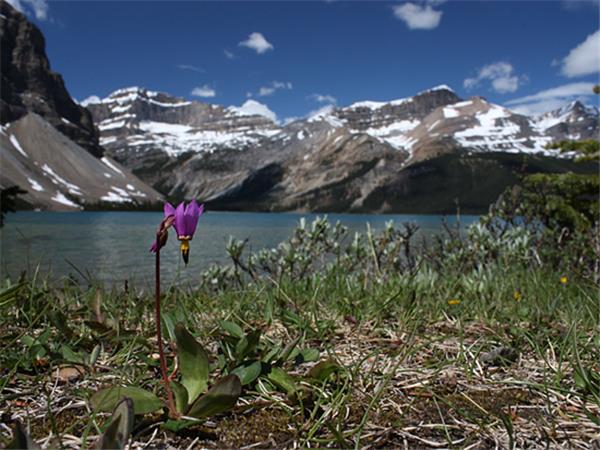 Canadian Rockies hiking vacation