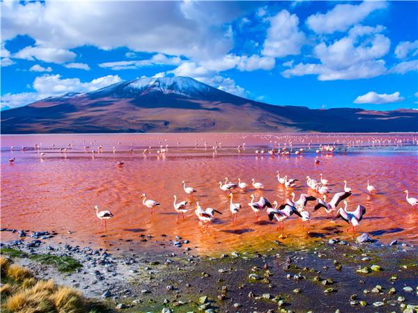 Chile and Argentina cycling vacation