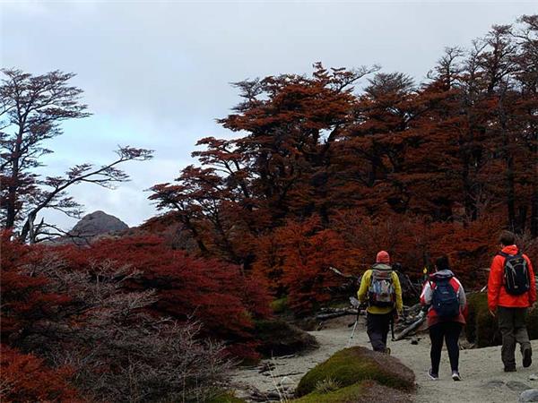 Patagonia trekking vacation Fitzroy and Paine