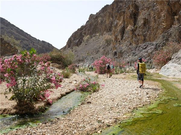Small group tour of Jordan