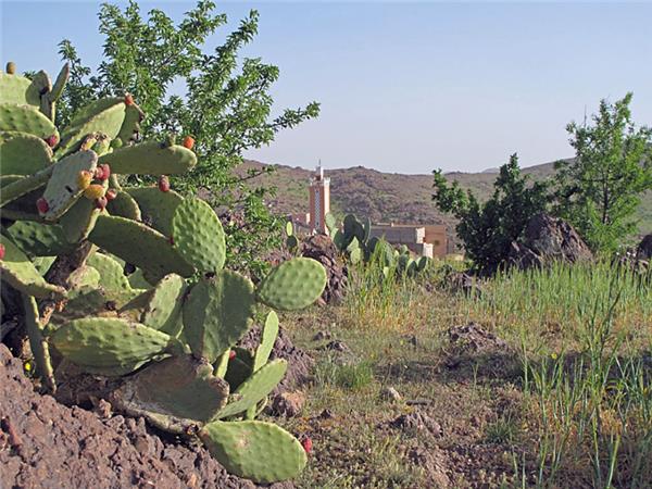 Atlas Mountains winter trekking vacation, Morocco