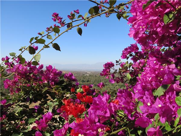 Atlas Mountains winter trekking vacation, Morocco