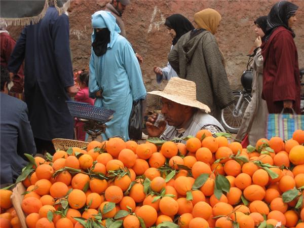 Short vacation to climb Mount Toubkal in Morocco