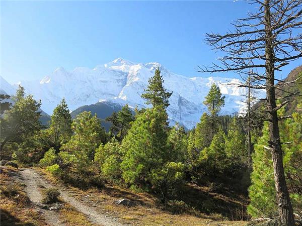 Mini Annapurna circut trek in Nepal