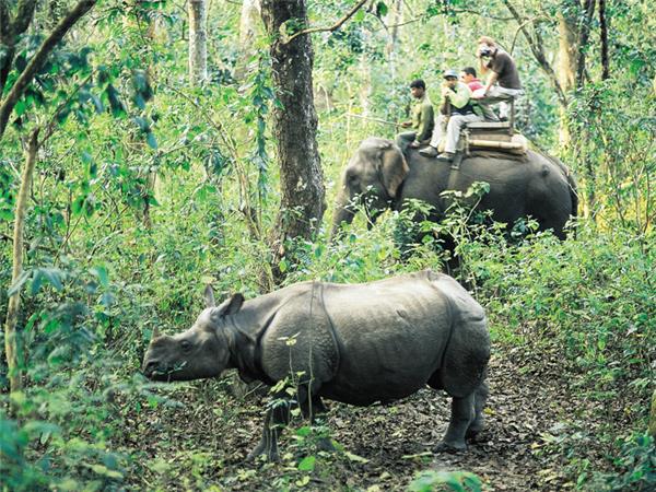 Annapurna luxury vacation in Nepal