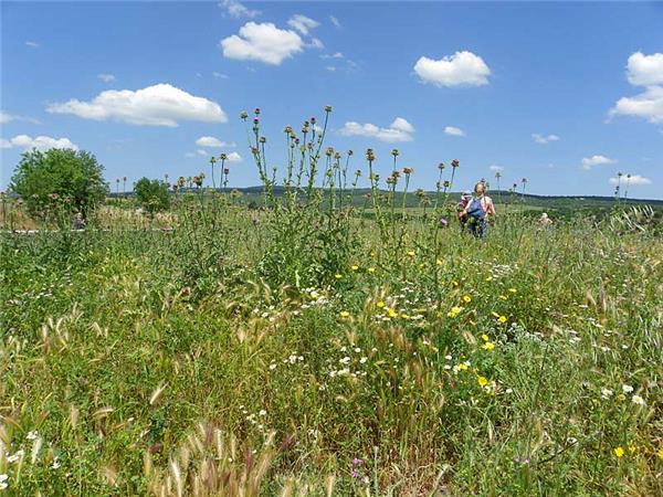 Puglia and Basilicata walking holiday in Italy