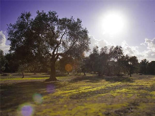 Puglia and Basilicata walking holiday in Italy