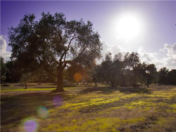Puglia and Basilicata walking holiday in Italy