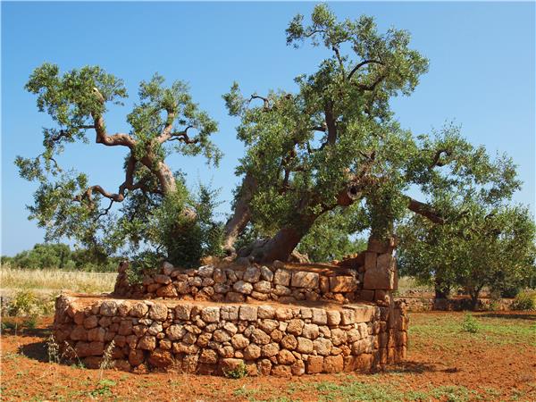 Puglia and Basilicata walking holiday in Italy