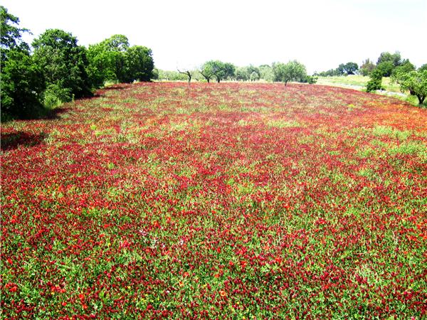 Puglia and Basilicata walking holiday in Italy