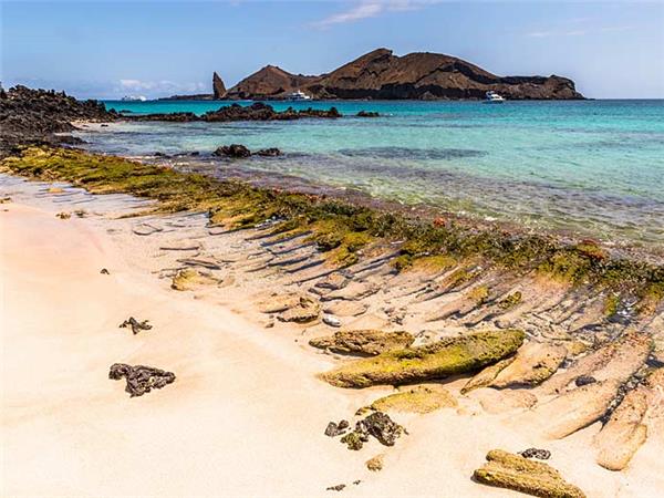 Galapagos Islands vacation